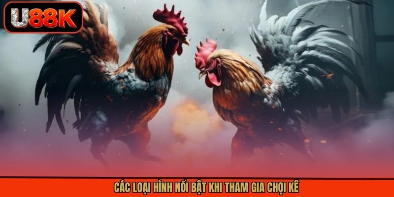 Các loại hình nổi bật khi tham gia chọi kê