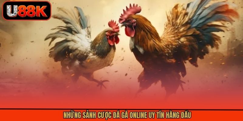 Những sảnh cược đá gà online uy tín hàng đầu