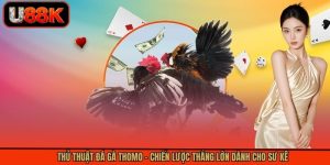 Thủ Thuật Đá Gà Thomo - Chiến Lược Thắng Lớn Dành Cho Sư Kê