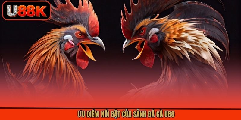 Ưu điểm nổi bật của chuyên mục đá gà U88