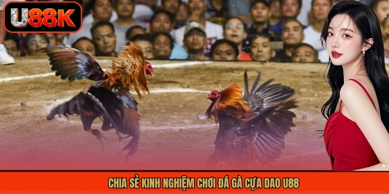 Chia sẻ kinh nghiệm chơi đá gà cựa dao U88