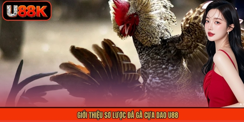 Giới thiệu sơ lược đá gà cựa dao U88