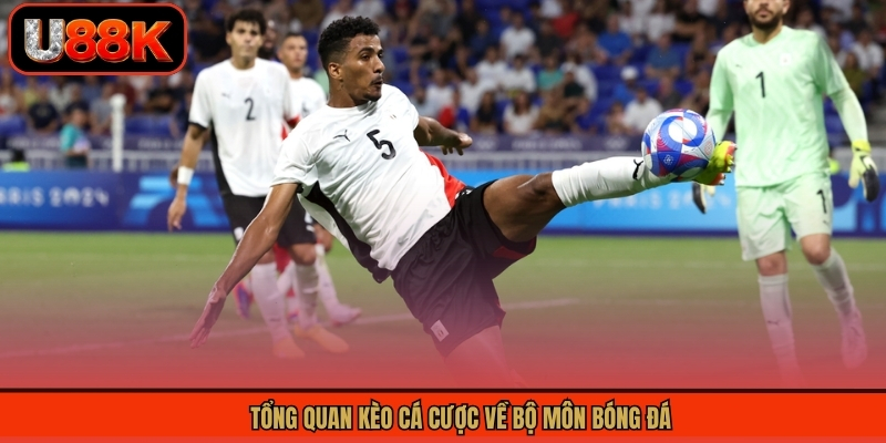 Tổng quan kèo cá cược về bộ môn bóng đá 